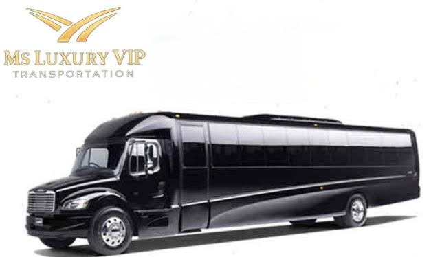 Executive Mini Coach