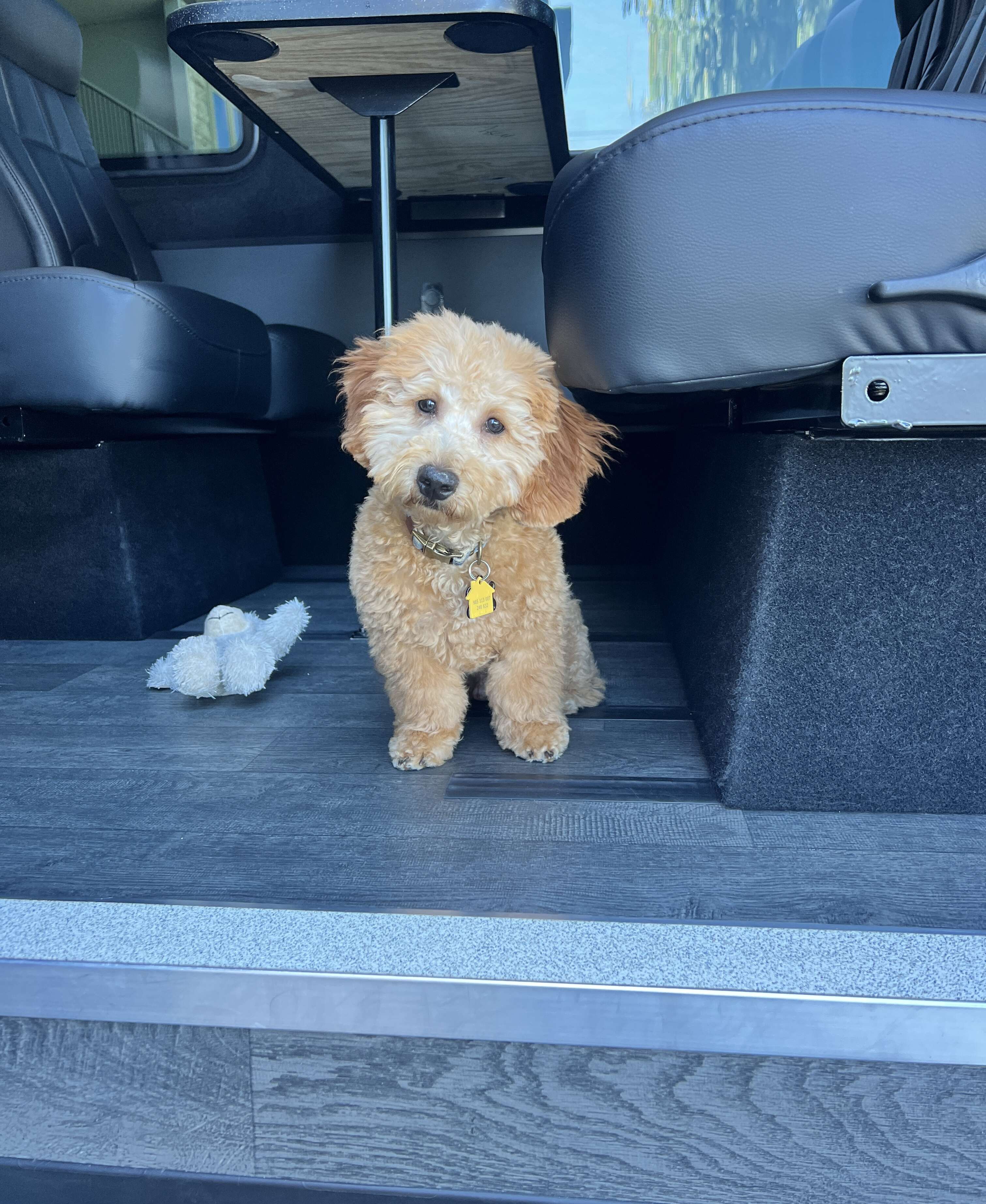 Executive Mercedes Sprinter