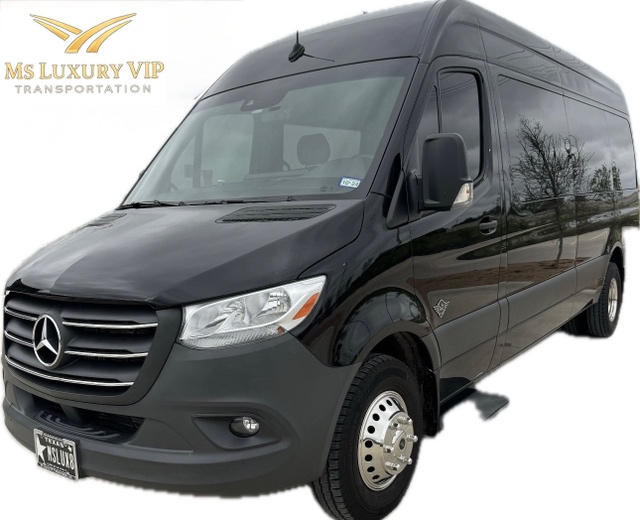 Executive Mercedes Sprinter