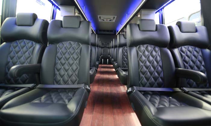Executive Mini Bus